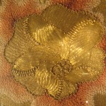 IMG_8880